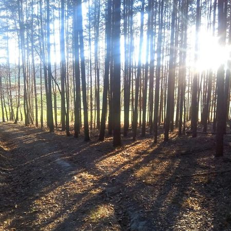 Ferienwohnung Landliebe Рудольштадт Экстерьер фото