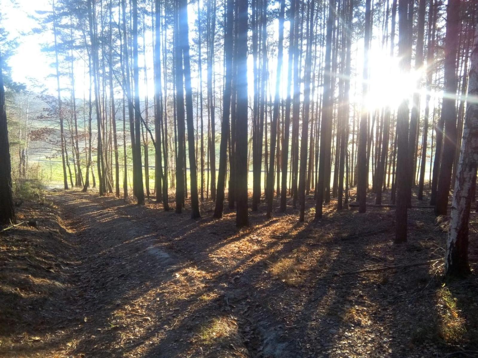 Ferienwohnung Landliebe Рудольштадт Экстерьер фото